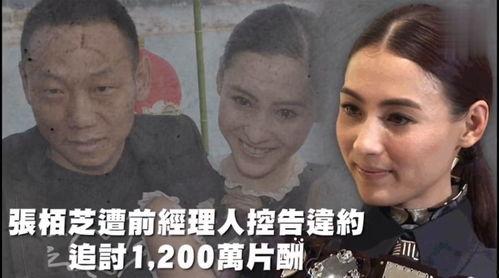 娱乐吃瓜是真是假视频大全,真假难辨的吃瓜视频大盘点